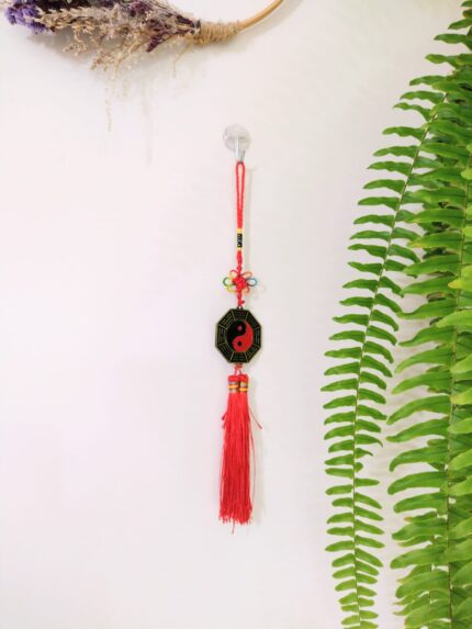 Pingente amuleto decorativo (20)